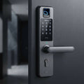 "Nexus Biometric Pro" — Biometric Mortise Smart Lock